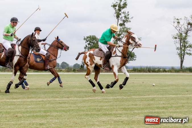 Zdjęcie w galerii na portalu naszraciborz.pl: W Zakrzowie trwa Silesia Summer Classic Polo Cup wiadomości z regionu