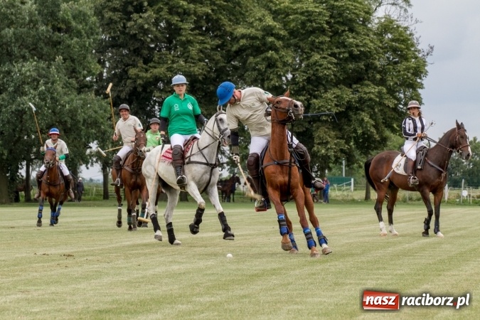 Zdjęcie w galerii na portalu naszraciborz.pl: W Zakrzowie trwa Silesia Summer Classic Polo Cup wiadomości z regionu