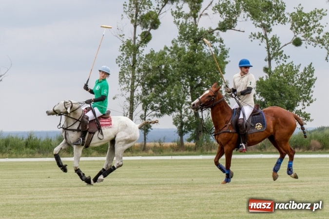 Zdjęcie w galerii na portalu naszraciborz.pl: W Zakrzowie trwa Silesia Summer Classic Polo Cup wiadomości z regionu