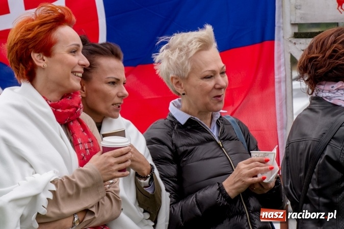 Zdjęcie w galerii na portalu naszraciborz.pl: W Zakrzowie trwa Silesia Summer Classic Polo Cup wiadomości z regionu