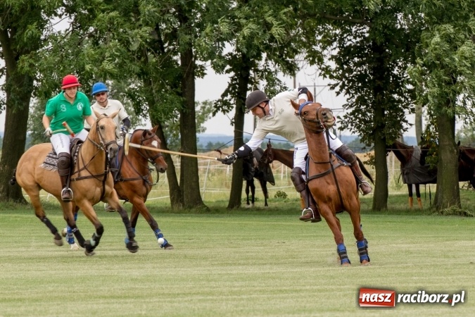 Zdjęcie w galerii na portalu naszraciborz.pl: W Zakrzowie trwa Silesia Summer Classic Polo Cup wiadomości z regionu