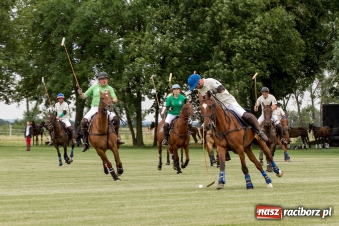 Zdjęcie w galerii na portalu naszraciborz.pl: W Zakrzowie trwa Silesia Summer Classic Polo Cup wiadomości z regionu