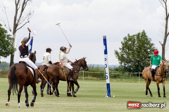 Zdjęcie w galerii na portalu naszraciborz.pl: W Zakrzowie trwa Silesia Summer Classic Polo Cup wiadomości z regionu