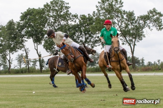 Zdjęcie w galerii na portalu naszraciborz.pl: W Zakrzowie trwa Silesia Summer Classic Polo Cup wiadomości z regionu