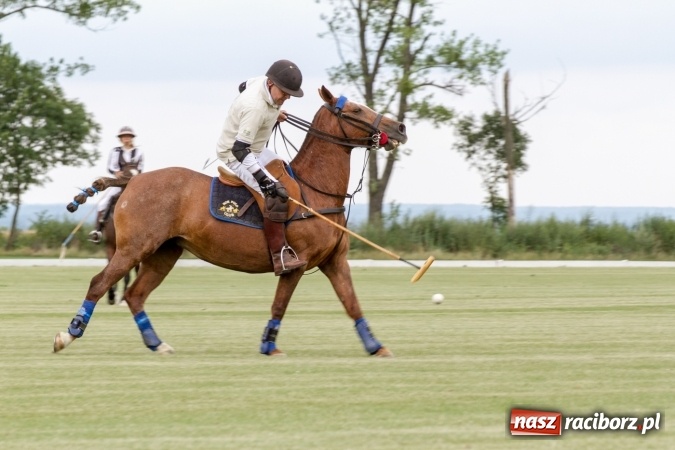 Zdjęcie w galerii na portalu naszraciborz.pl: W Zakrzowie trwa Silesia Summer Classic Polo Cup wiadomości z regionu