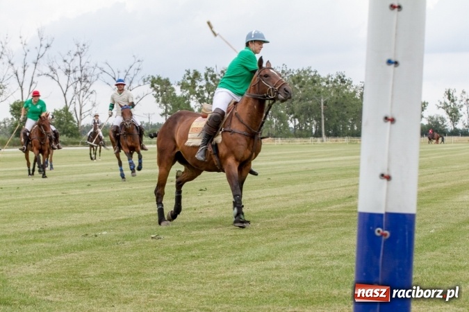 Zdjęcie w galerii na portalu naszraciborz.pl: W Zakrzowie trwa Silesia Summer Classic Polo Cup wiadomości z regionu