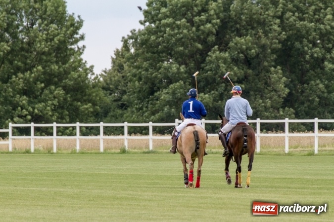 Zdjęcie w galerii na portalu naszraciborz.pl: W Zakrzowie trwa Silesia Summer Classic Polo Cup wiadomości z regionu