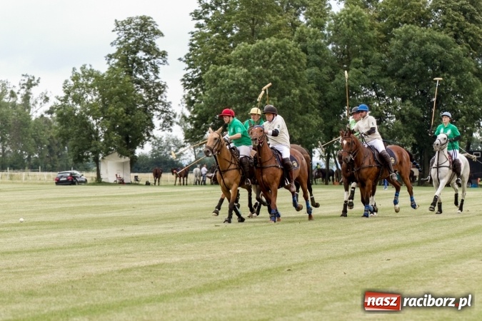 Zdjęcie w galerii na portalu naszraciborz.pl: W Zakrzowie trwa Silesia Summer Classic Polo Cup wiadomości z regionu