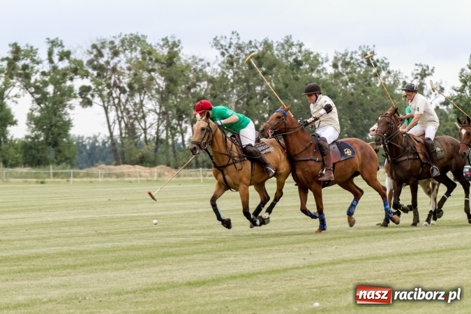 Zdjęcie w galerii na portalu naszraciborz.pl: W Zakrzowie trwa Silesia Summer Classic Polo Cup wiadomości z regionu