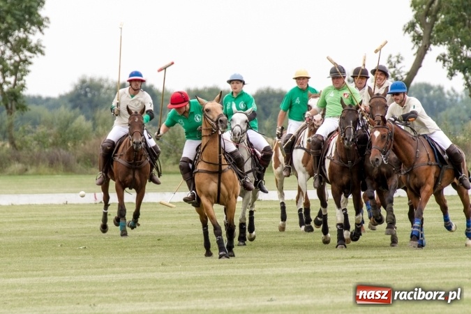 Zdjęcie w galerii na portalu naszraciborz.pl: W Zakrzowie trwa Silesia Summer Classic Polo Cup wiadomości z regionu