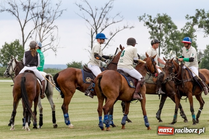 Zdjęcie w galerii na portalu naszraciborz.pl: W Zakrzowie trwa Silesia Summer Classic Polo Cup wiadomości z regionu