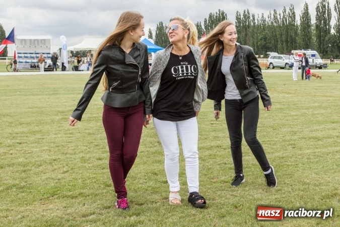 Zdjęcie w galerii na portalu naszraciborz.pl: W Zakrzowie trwa Silesia Summer Classic Polo Cup wiadomości z regionu