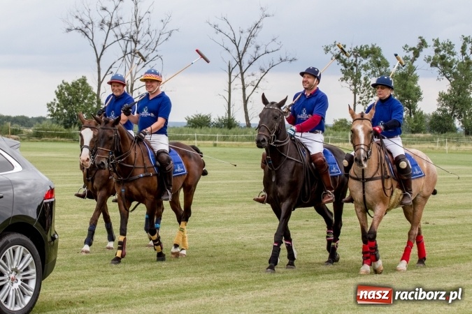 Zdjęcie w galerii na portalu naszraciborz.pl: W Zakrzowie trwa Silesia Summer Classic Polo Cup wiadomości z regionu