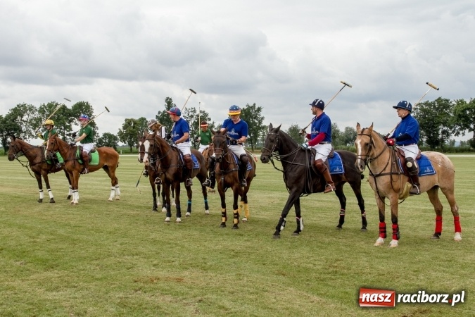 Zdjęcie w galerii na portalu naszraciborz.pl: W Zakrzowie trwa Silesia Summer Classic Polo Cup wiadomości z regionu