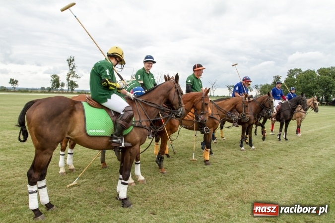 Zdjęcie w galerii na portalu naszraciborz.pl: W Zakrzowie trwa Silesia Summer Classic Polo Cup wiadomości z regionu