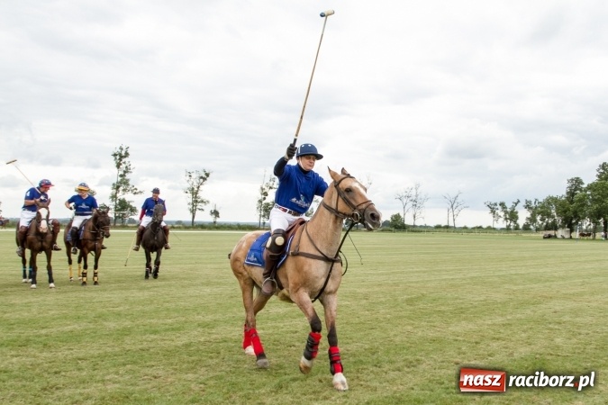 Zdjęcie w galerii na portalu naszraciborz.pl: W Zakrzowie trwa Silesia Summer Classic Polo Cup wiadomości z regionu