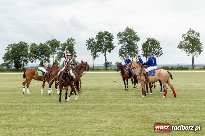 Zdjęcie w galerii na portalu naszraciborz.pl: W Zakrzowie trwa Silesia Summer Classic Polo Cup wiadomości z regionu