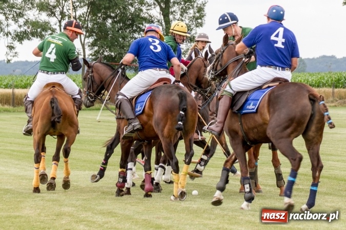 Zdjęcie w galerii na portalu naszraciborz.pl: W Zakrzowie trwa Silesia Summer Classic Polo Cup wiadomości z regionu