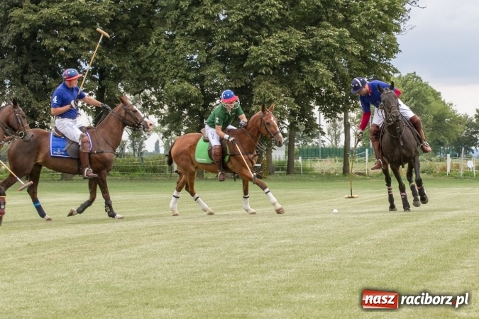 Zdjęcie w galerii na portalu naszraciborz.pl: W Zakrzowie trwa Silesia Summer Classic Polo Cup wiadomości z regionu
