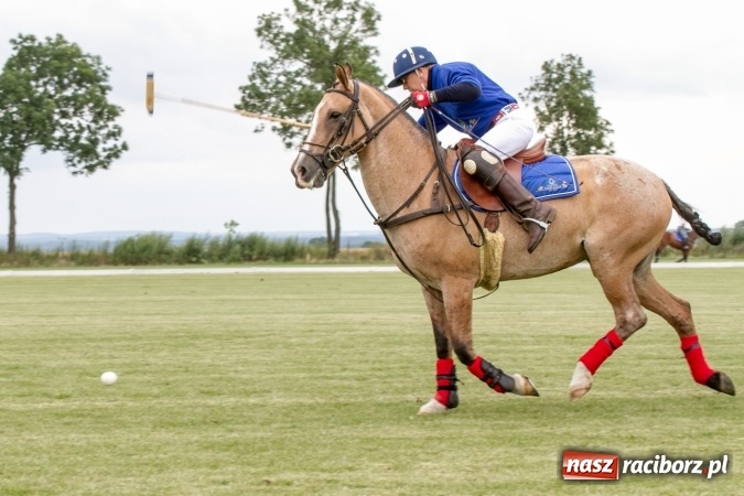 Zdjęcie w galerii na portalu naszraciborz.pl: W Zakrzowie trwa Silesia Summer Classic Polo Cup wiadomości z regionu