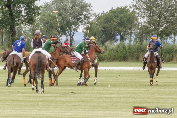 Zdjęcie w galerii na portalu naszraciborz.pl: W Zakrzowie trwa Silesia Summer Classic Polo Cup wiadomości z regionu