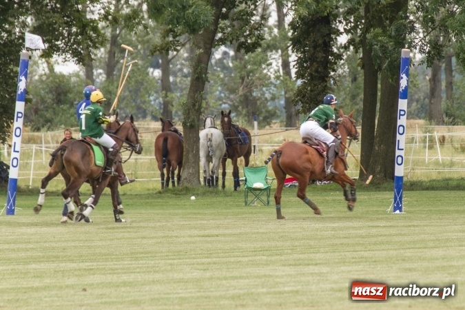 Zdjęcie w galerii na portalu naszraciborz.pl: W Zakrzowie trwa Silesia Summer Classic Polo Cup wiadomości z regionu