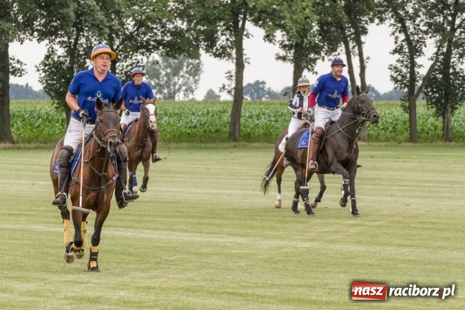 Zdjęcie w galerii na portalu naszraciborz.pl: W Zakrzowie trwa Silesia Summer Classic Polo Cup wiadomości z regionu