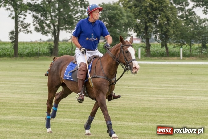 Zdjęcie w galerii na portalu naszraciborz.pl: W Zakrzowie trwa Silesia Summer Classic Polo Cup wiadomości z regionu