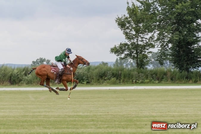 Zdjęcie w galerii na portalu naszraciborz.pl: W Zakrzowie trwa Silesia Summer Classic Polo Cup wiadomości z regionu