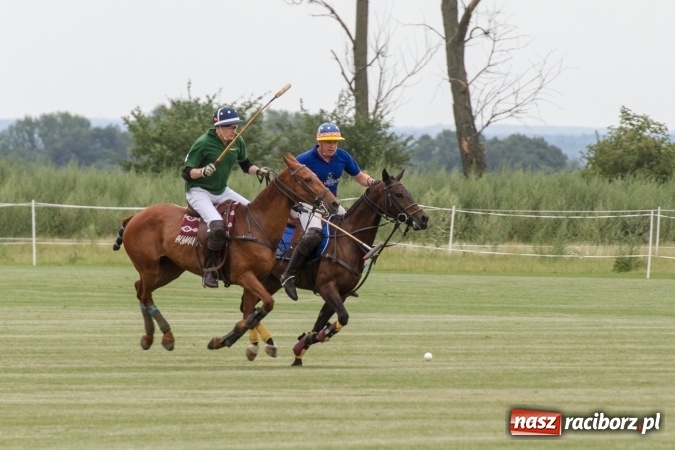 Zdjęcie w galerii na portalu naszraciborz.pl: W Zakrzowie trwa Silesia Summer Classic Polo Cup wiadomości z regionu