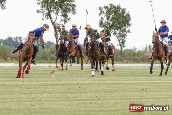 Zdjęcie w galerii na portalu naszraciborz.pl: W Zakrzowie trwa Silesia Summer Classic Polo Cup wiadomości z regionu