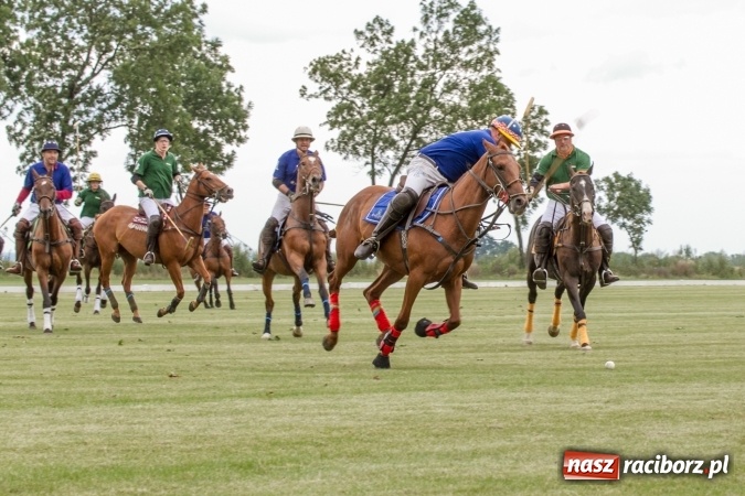 Zdjęcie w galerii na portalu naszraciborz.pl: W Zakrzowie trwa Silesia Summer Classic Polo Cup wiadomości z regionu