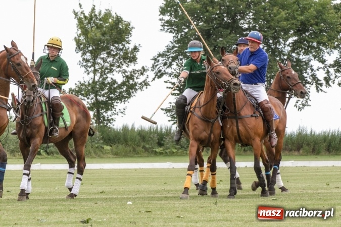 Zdjęcie w galerii na portalu naszraciborz.pl: W Zakrzowie trwa Silesia Summer Classic Polo Cup wiadomości z regionu