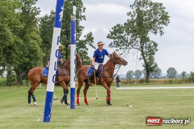 Zdjęcie w galerii na portalu naszraciborz.pl: W Zakrzowie trwa Silesia Summer Classic Polo Cup wiadomości z regionu