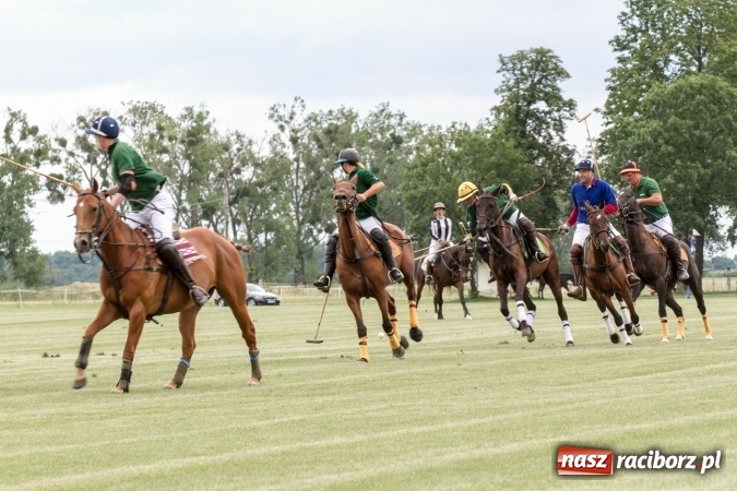 Zdjęcie w galerii na portalu naszraciborz.pl: W Zakrzowie trwa Silesia Summer Classic Polo Cup wiadomości z regionu