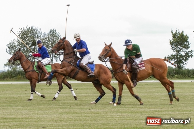 Zdjęcie w galerii na portalu naszraciborz.pl: W Zakrzowie trwa Silesia Summer Classic Polo Cup wiadomości z regionu