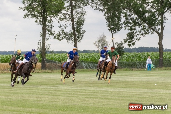 Zdjęcie w galerii na portalu naszraciborz.pl: W Zakrzowie trwa Silesia Summer Classic Polo Cup wiadomości z regionu
