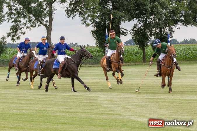 Zdjęcie w galerii na portalu naszraciborz.pl: W Zakrzowie trwa Silesia Summer Classic Polo Cup wiadomości z regionu