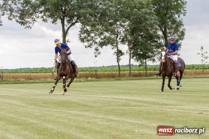 Zdjęcie w galerii na portalu naszraciborz.pl: W Zakrzowie trwa Silesia Summer Classic Polo Cup wiadomości z regionu