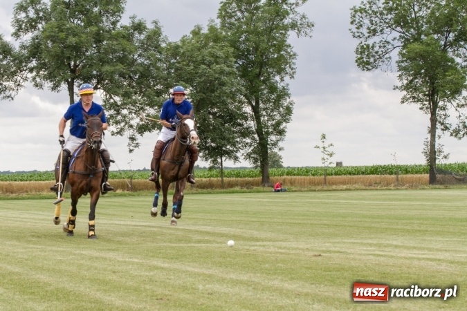 Zdjęcie w galerii na portalu naszraciborz.pl: W Zakrzowie trwa Silesia Summer Classic Polo Cup wiadomości z regionu