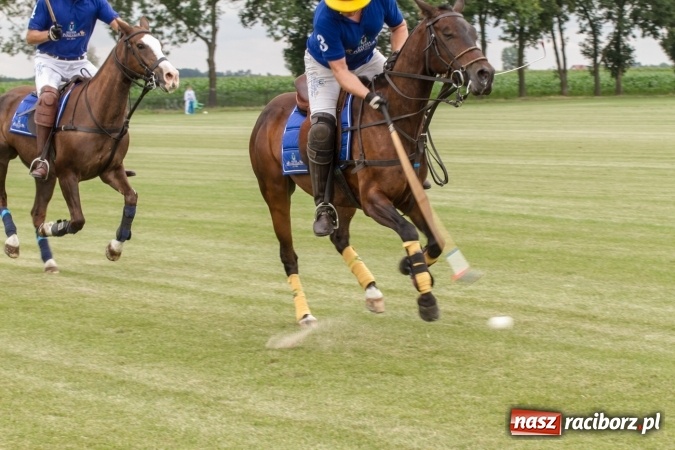 Zdjęcie w galerii na portalu naszraciborz.pl: W Zakrzowie trwa Silesia Summer Classic Polo Cup wiadomości z regionu