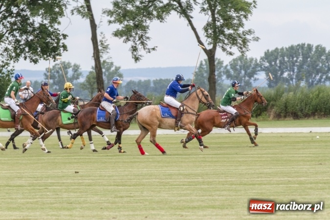 Zdjęcie w galerii na portalu naszraciborz.pl: W Zakrzowie trwa Silesia Summer Classic Polo Cup wiadomości z regionu