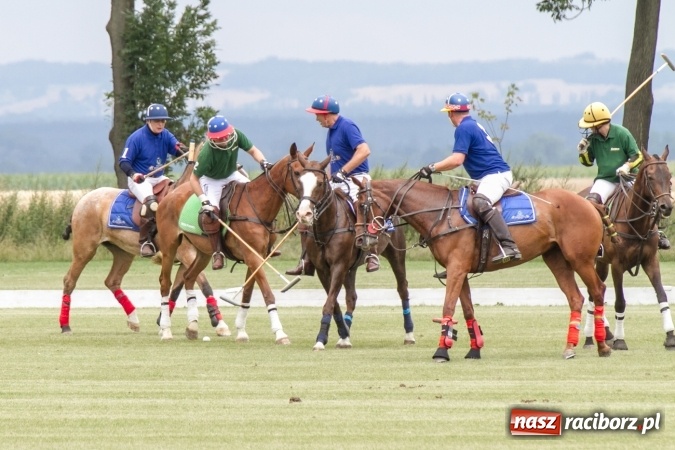 Zdjęcie w galerii na portalu naszraciborz.pl: W Zakrzowie trwa Silesia Summer Classic Polo Cup wiadomości z regionu