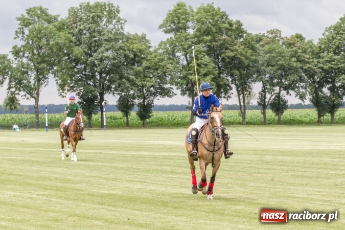 Zdjęcie w galerii na portalu naszraciborz.pl: W Zakrzowie trwa Silesia Summer Classic Polo Cup wiadomości z regionu