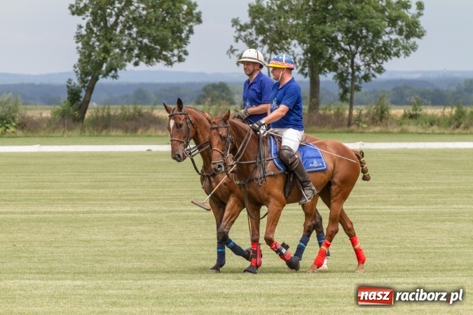Zdjęcie w galerii na portalu naszraciborz.pl: W Zakrzowie trwa Silesia Summer Classic Polo Cup wiadomości z regionu