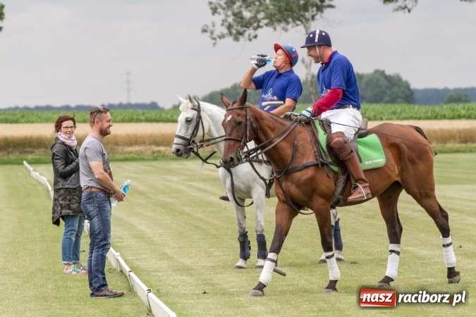 Zdjęcie w galerii na portalu naszraciborz.pl: W Zakrzowie trwa Silesia Summer Classic Polo Cup wiadomości z regionu