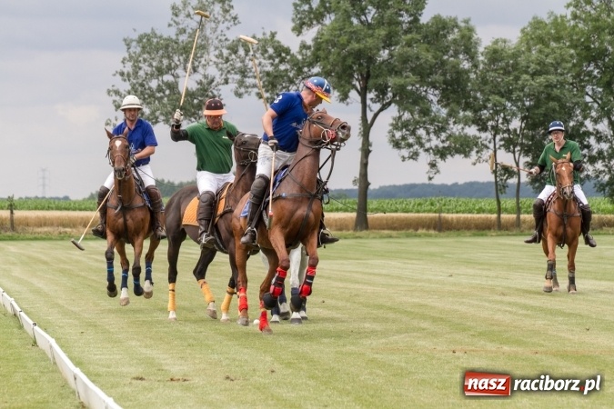 Zdjęcie w galerii na portalu naszraciborz.pl: W Zakrzowie trwa Silesia Summer Classic Polo Cup wiadomości z regionu