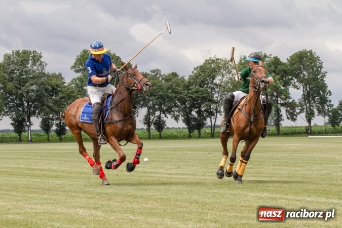 Zdjęcie w galerii na portalu naszraciborz.pl: W Zakrzowie trwa Silesia Summer Classic Polo Cup wiadomości z regionu