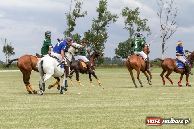 Zdjęcie w galerii na portalu naszraciborz.pl: W Zakrzowie trwa Silesia Summer Classic Polo Cup wiadomości z regionu