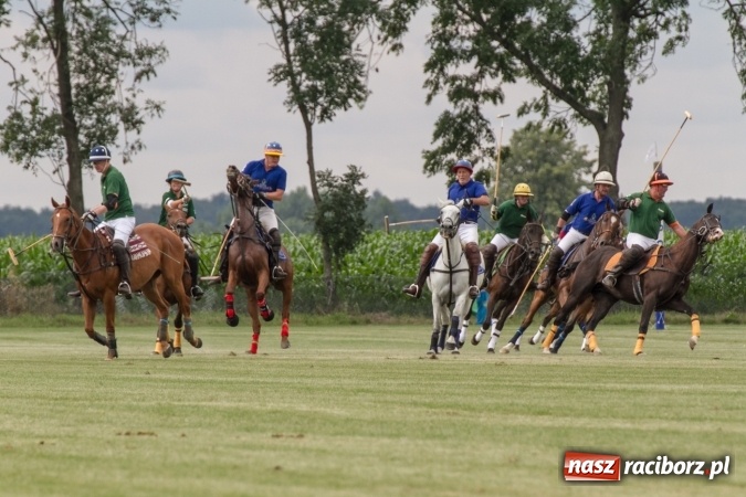Zdjęcie w galerii na portalu naszraciborz.pl: W Zakrzowie trwa Silesia Summer Classic Polo Cup wiadomości z regionu
